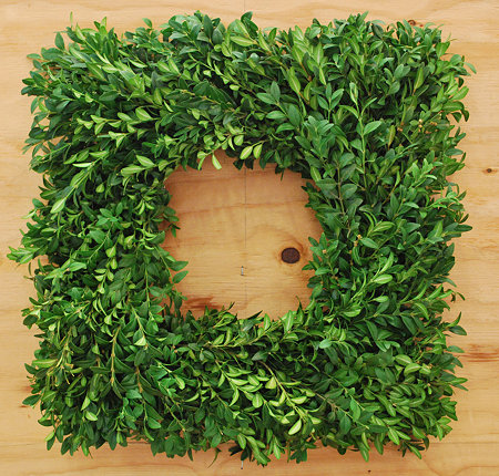 18" Fresh Boxwood Frame